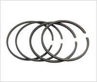 PTFE Ring